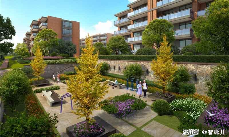 智慧養老怎么“養”？不要讓科技成為老年群體的束縛(圖2)